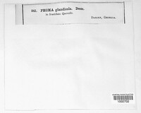 Image Associated With the Occurence